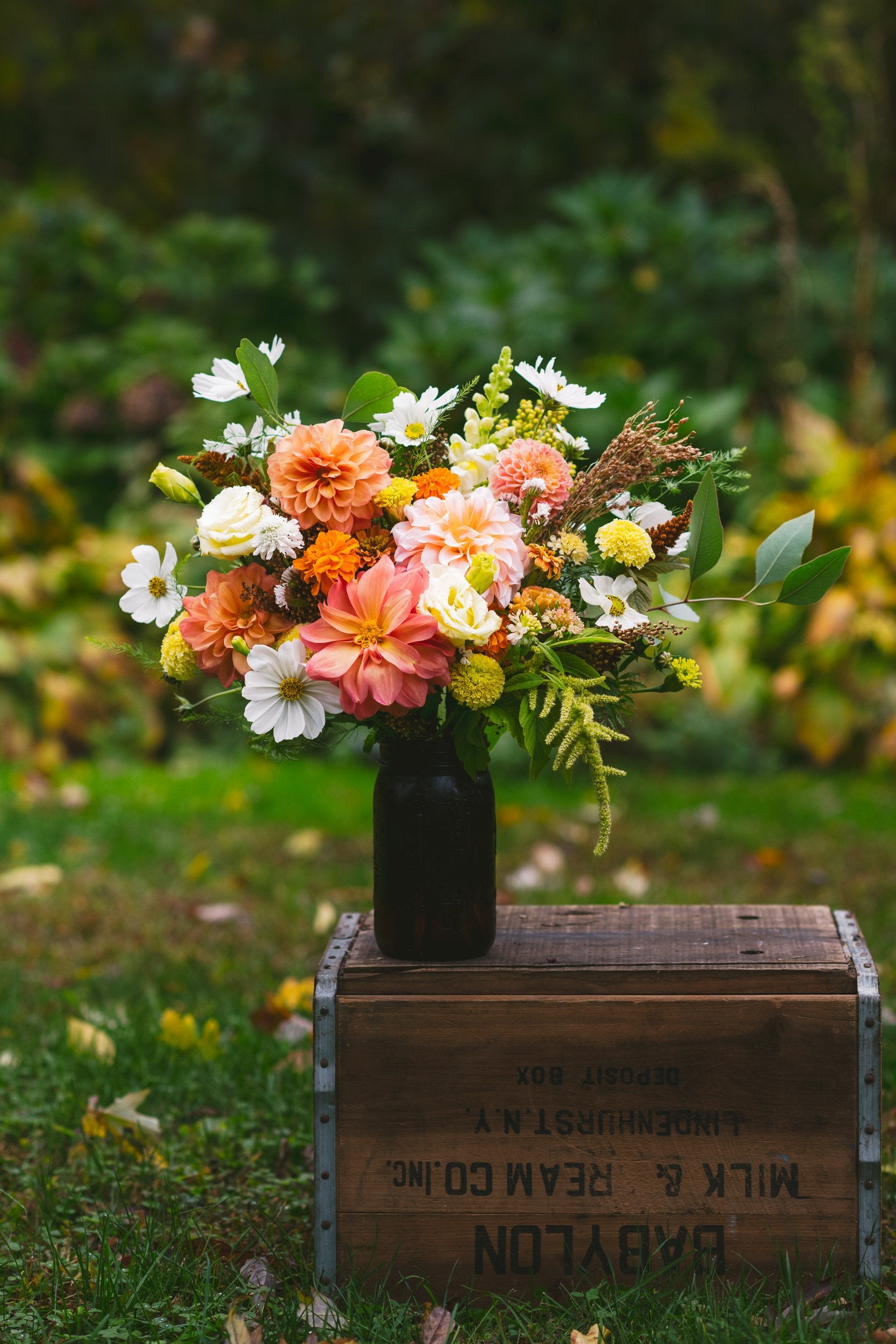 2026 Preorder: The Summer Flowers in a Bag Subscription