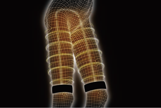 パルストレーナー｜モアトレ - HOMER ION