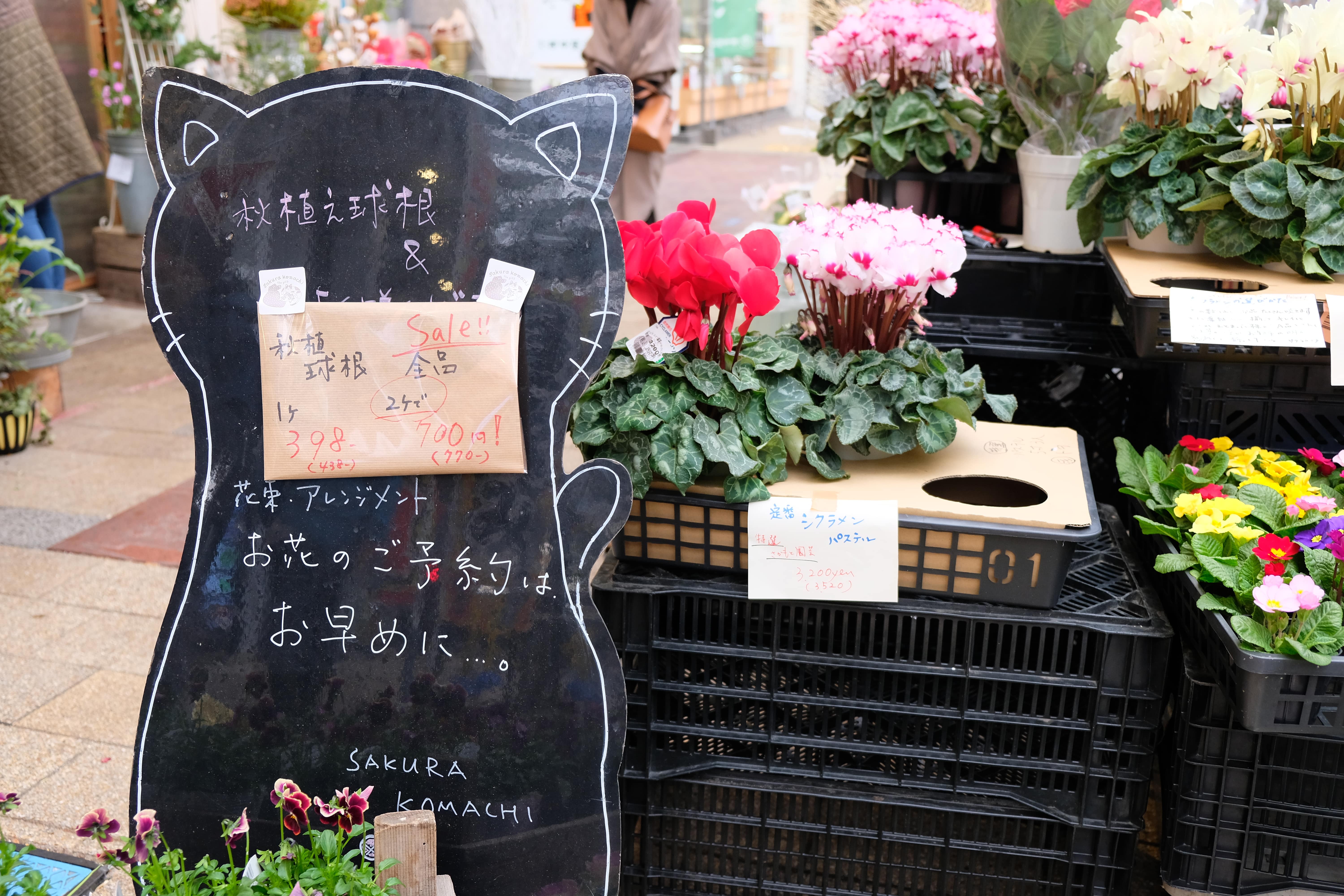 ぷらっと本町(本町6商店街)｜新潟市中央区の人情商店街 | さくらこまち