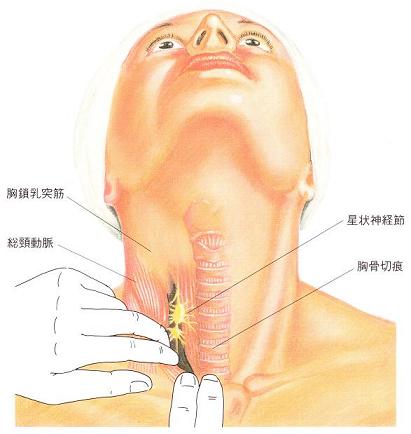 スーパーライザーの効果～渋谷カイロプラクティック整体院