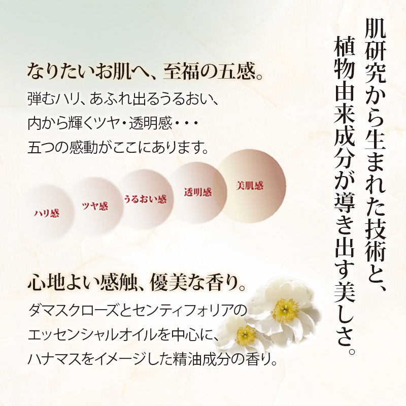 ハウス オブ ローゼ コンセントレートクリーム