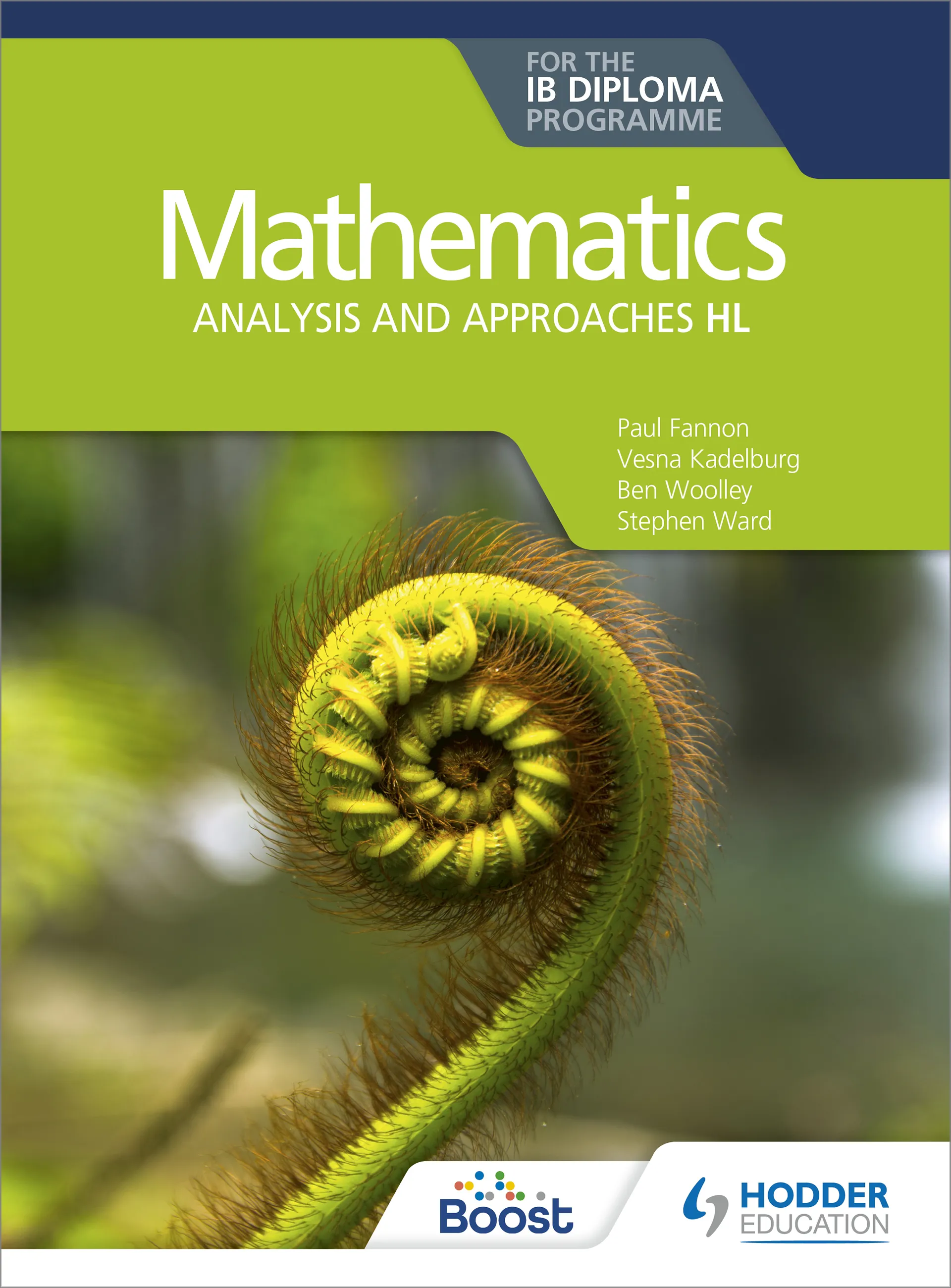 語学・辞書・学習参考書 Mathematics Analysis and Approaches HL 2
