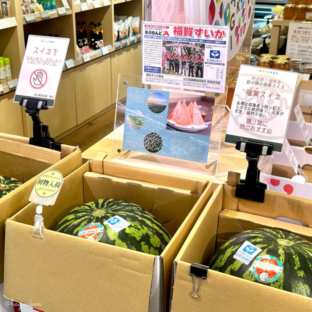 スイカ大サイズ！額付き作品 title「一陽来福ニャンコ」 スイカ大