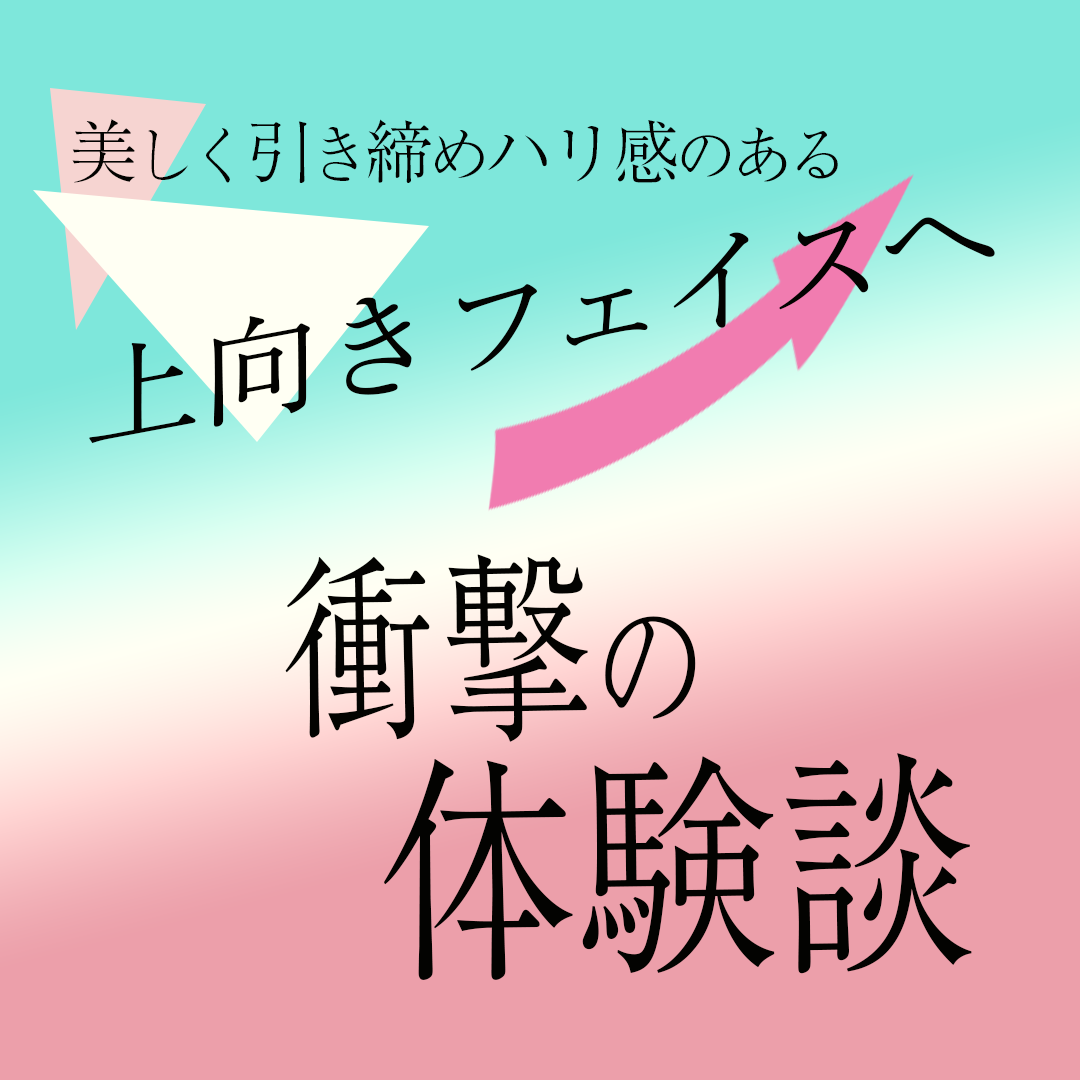 LAMEI ULTRAPULSE PREMIUM ラメイ ウルトラパルス プレミアム美顔器