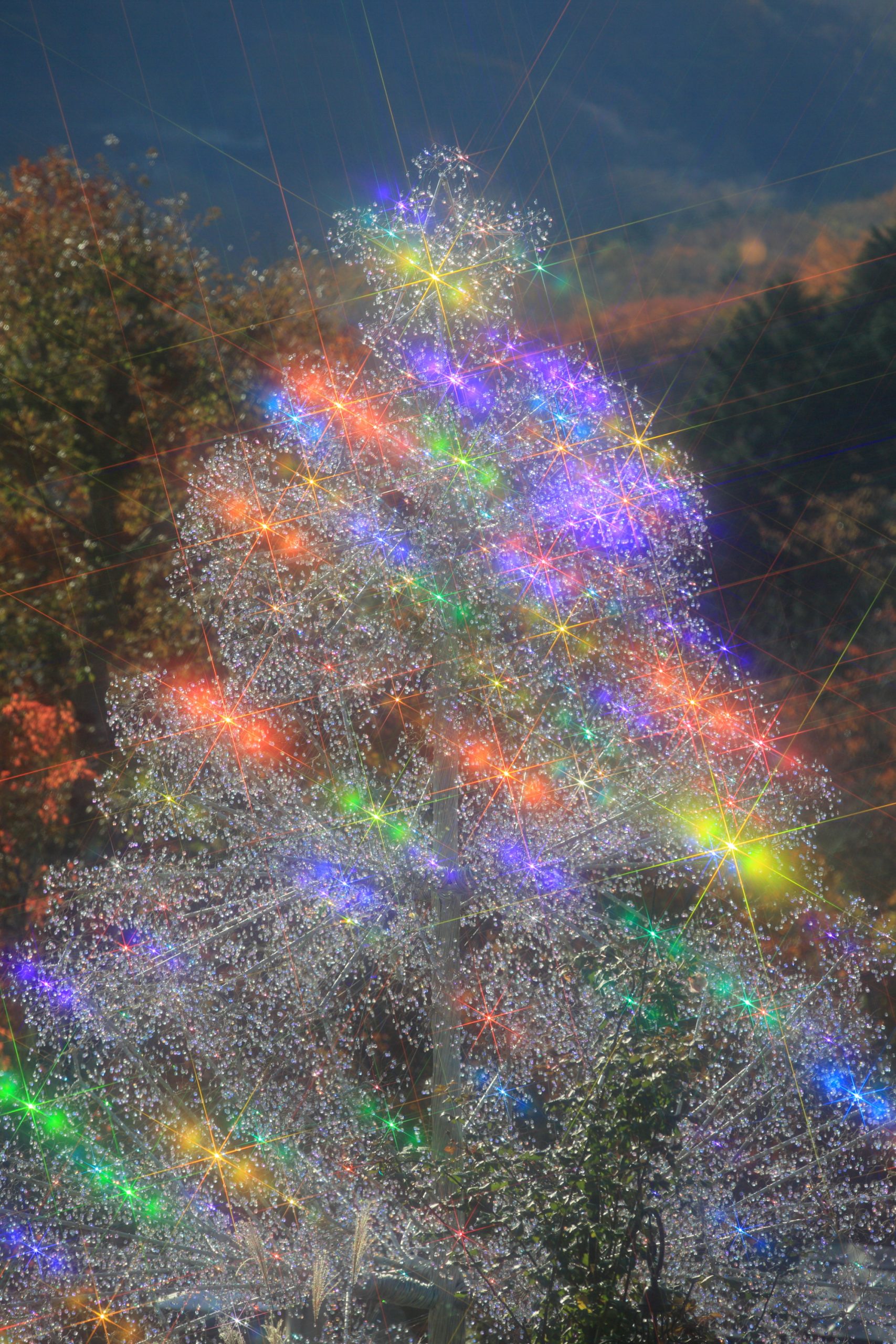 ヴィンテージ クリスタル ガラス クリスマスツリー 予告】クリスタル