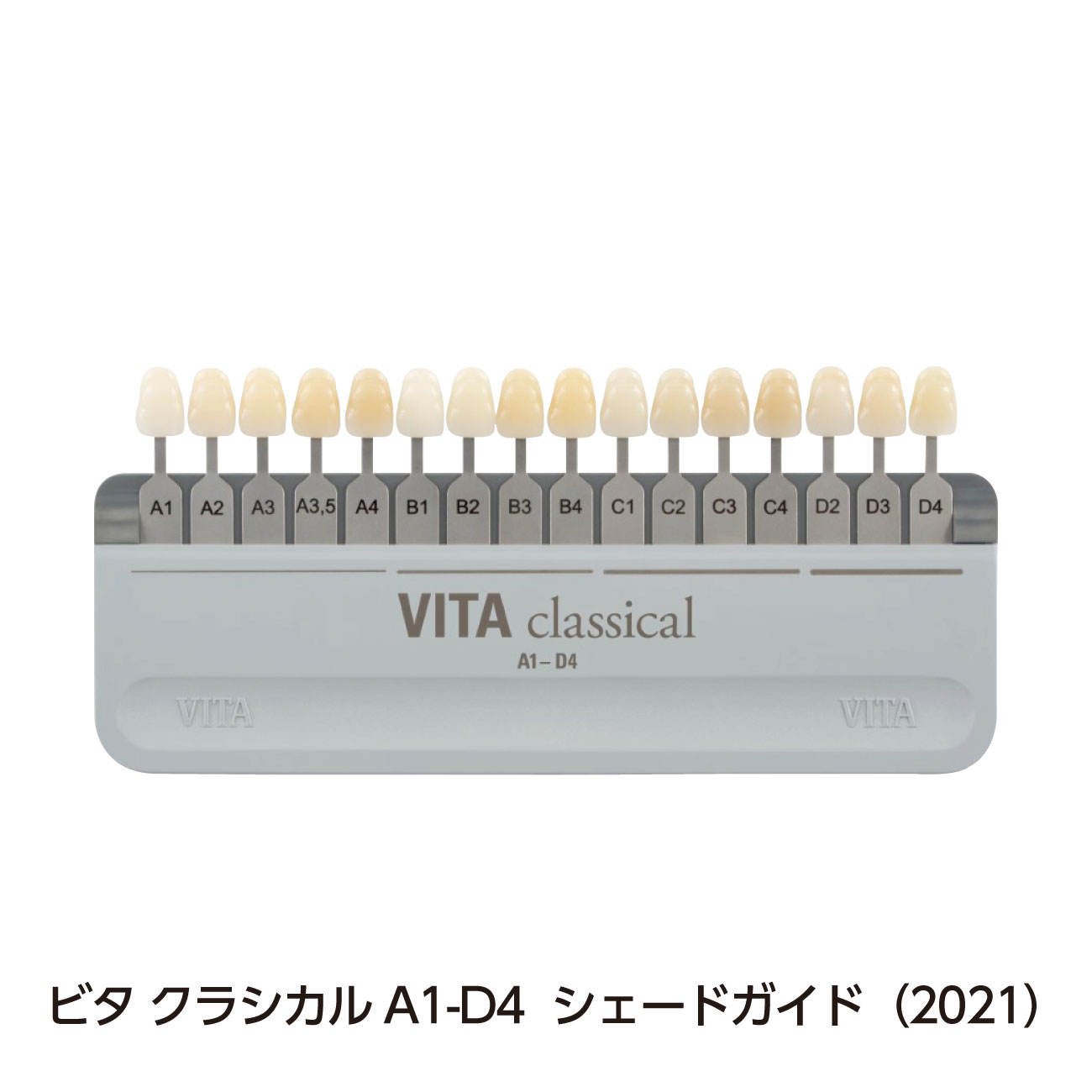 ビタ シェードガイド |