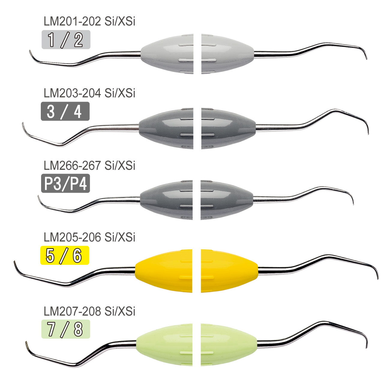 LMグレーシーキュレット |