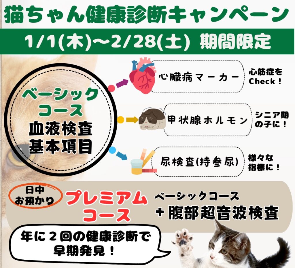 🐶健康診断🐱】1月から猫ちゃんの健診始まります！🐱🩺 - 渋谷区