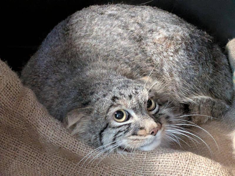 0e104f7060ff0d0fe071e66638721d