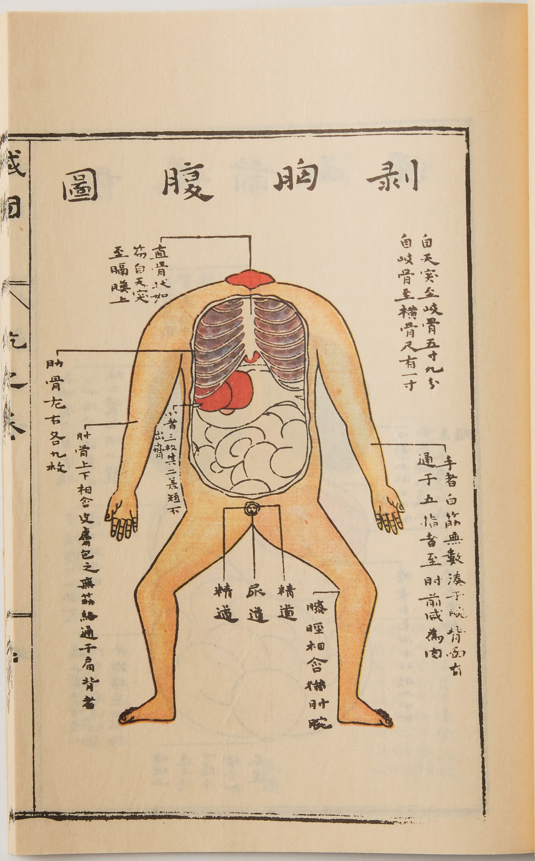 蔵志・解体新書（ぞうし・かいたいしんしょ）｜漢方古書の扉｜漢方資料
