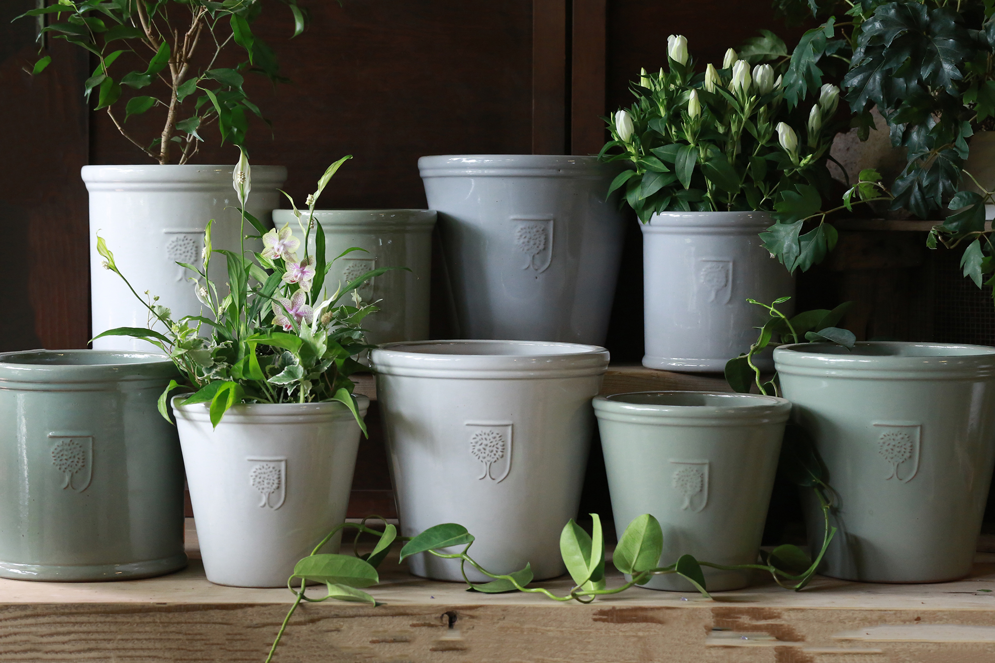 RHS マリナーSS［φ21cm］ミントグリーン | アトリエ華もみじ