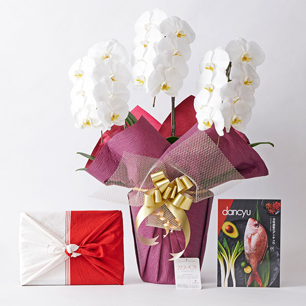 公式】hana｜花・フラワーギフトの通販サイト｜ギフト・インテリア