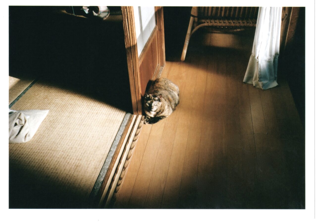 TOUR あいのわ「タカシにはその器はないんじゃないかしら…」と母は言っ