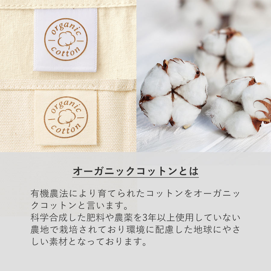 オリジナル オーガニックコットンキャンバストートバッグ(S