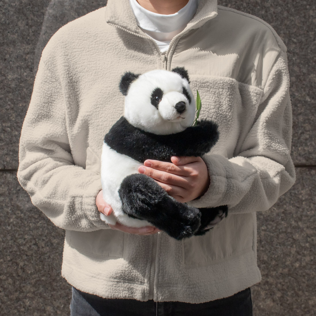 ジャイアントパンダ 33 | HANSA