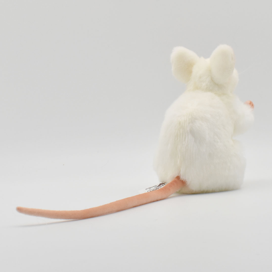 シロネズミ 32 | HANSA