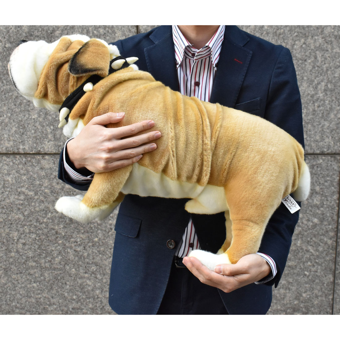 ブリティッシュブルドッグ 63 | HANSA