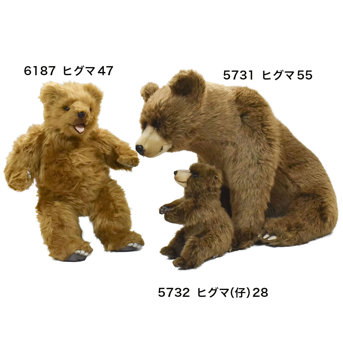 ヒグマ(仔) 28 | HANSA