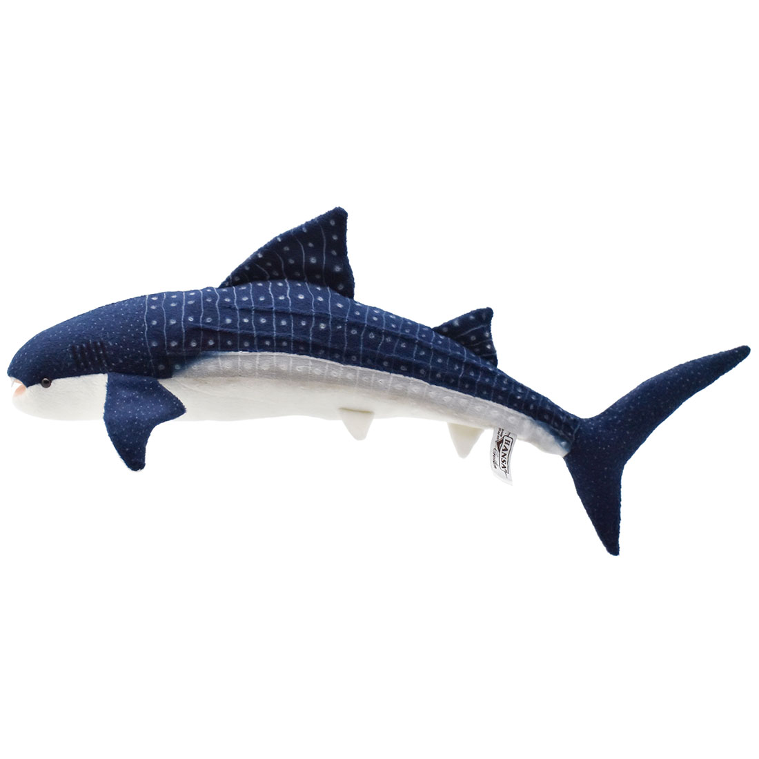 ジンベエザメ 56 | HANSA