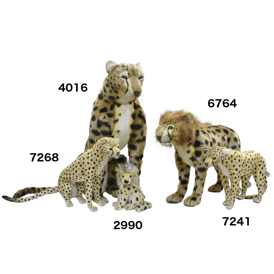 チーター 34 | HANSA