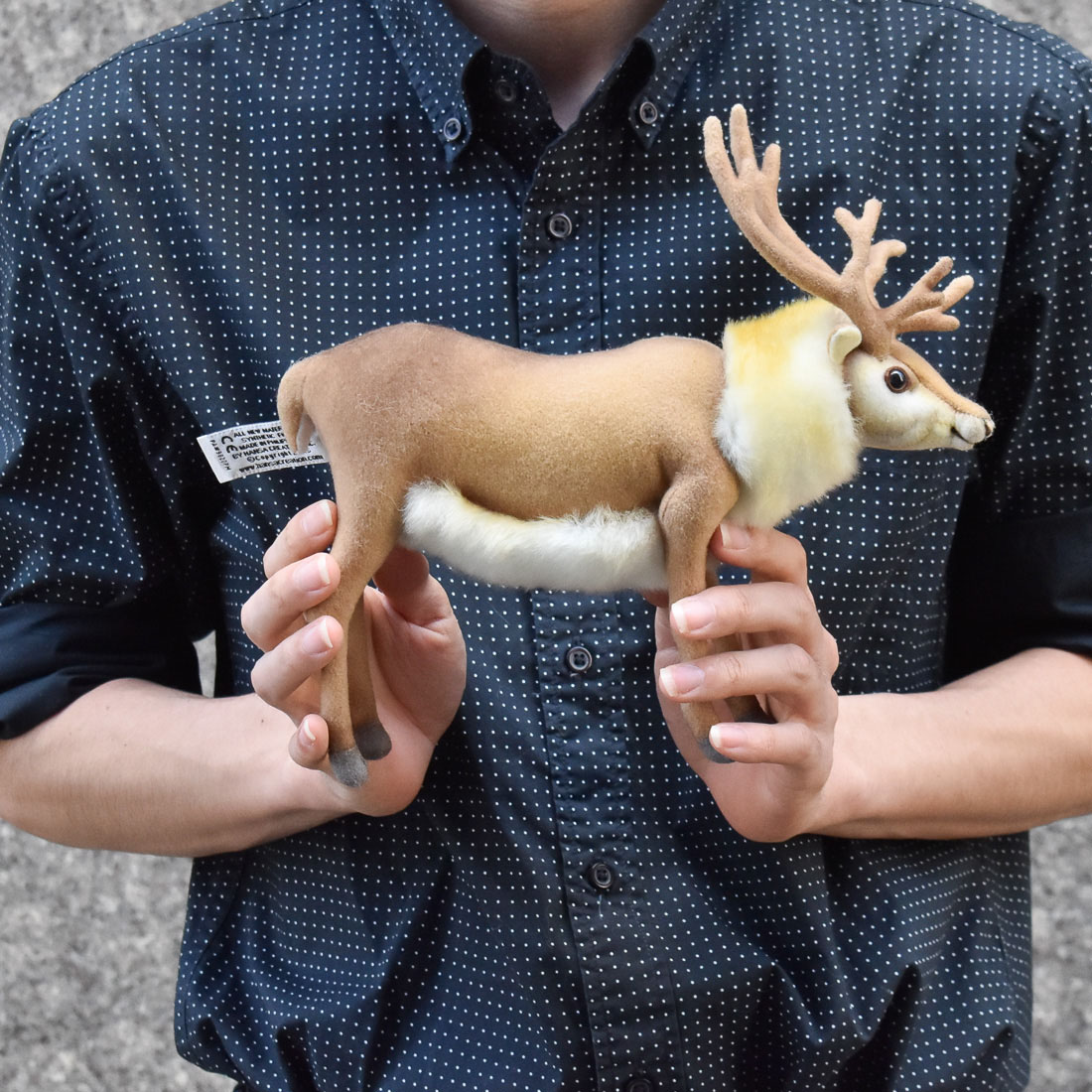 トナカイ 23 | HANSA