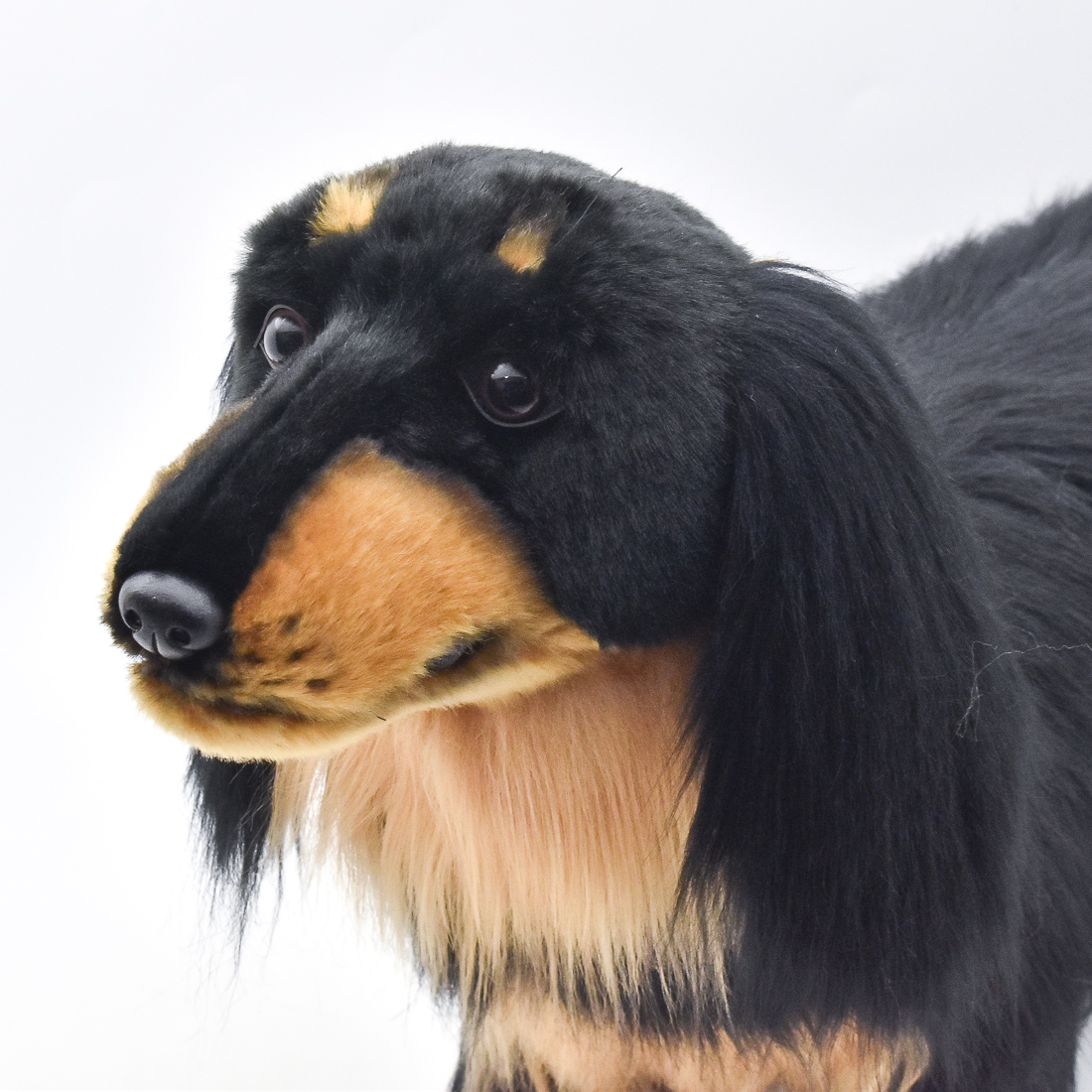 ミニチュアダックスフンド ロングヘア ブラック 62 | HANSA