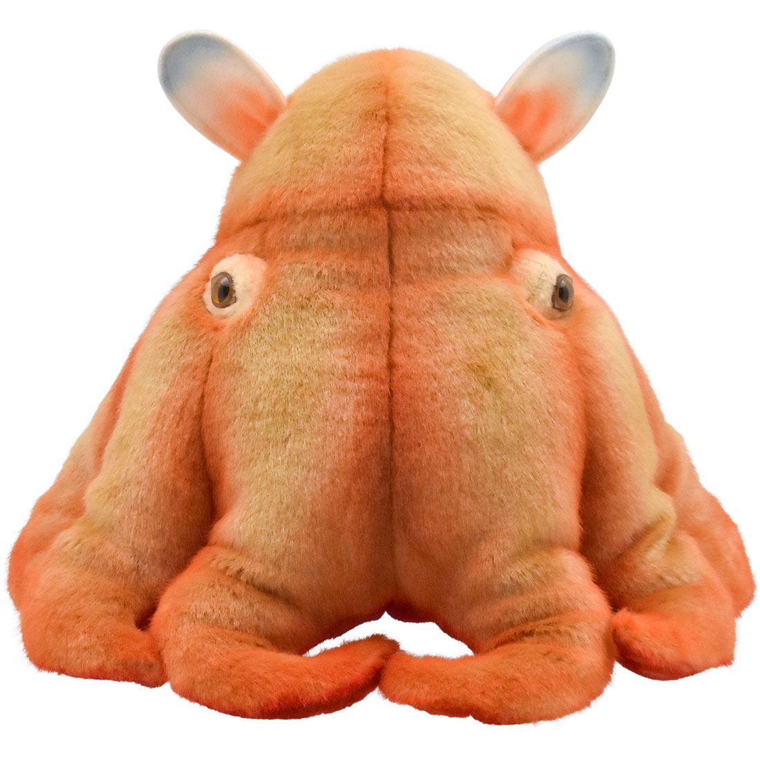 メンダコ 27 | HANSA