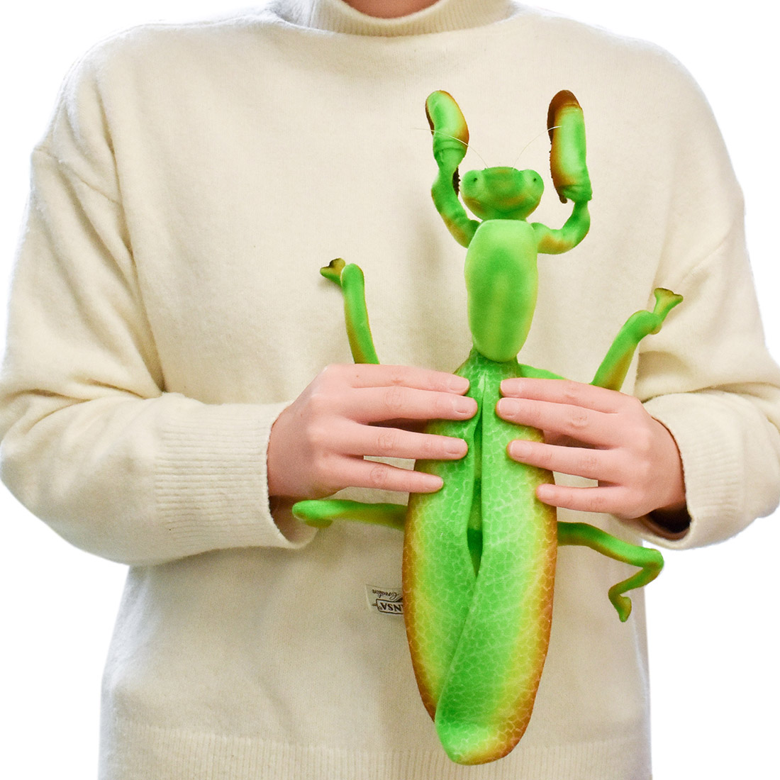 カマキリ 43 | HANSA