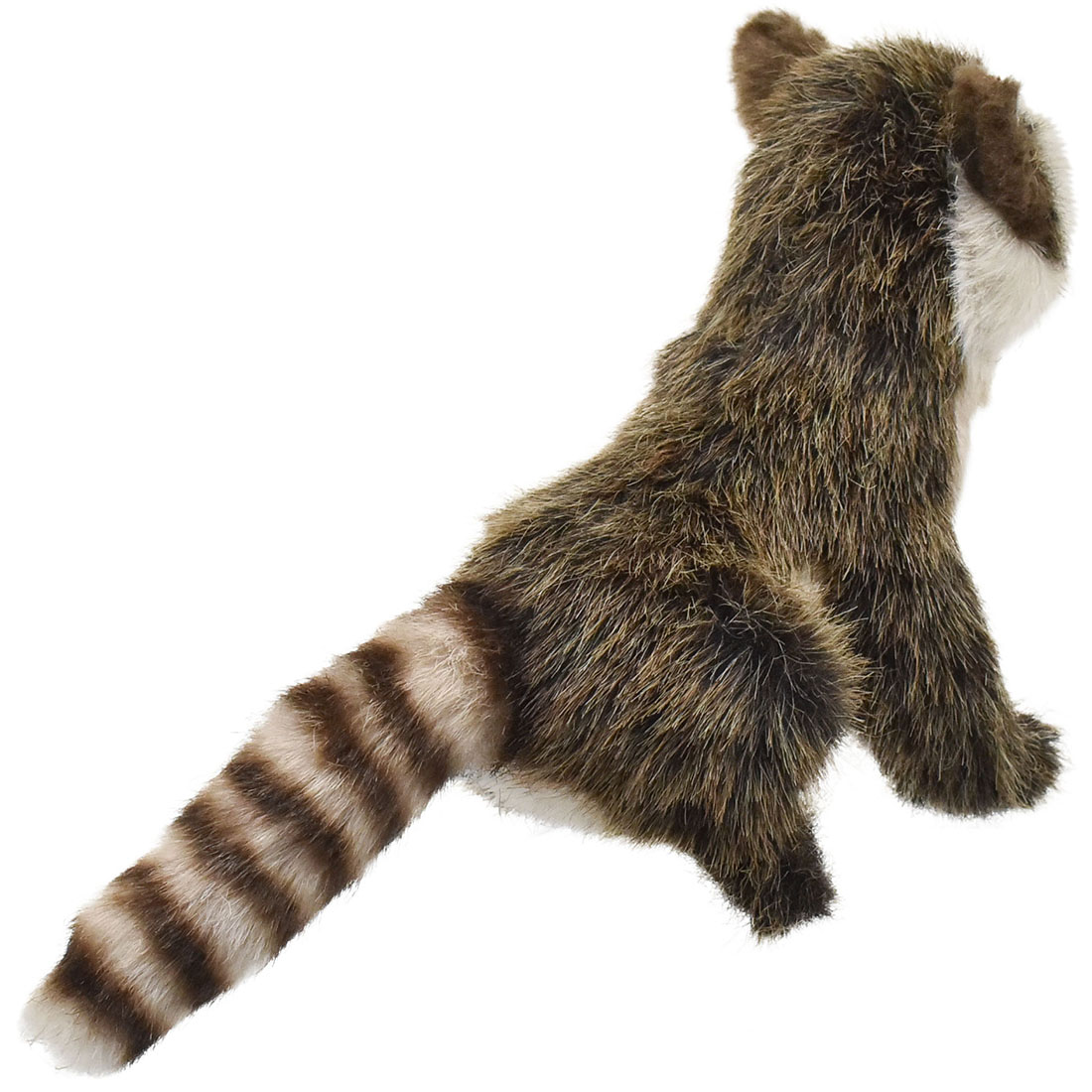 アライグマ 23 | HANSA