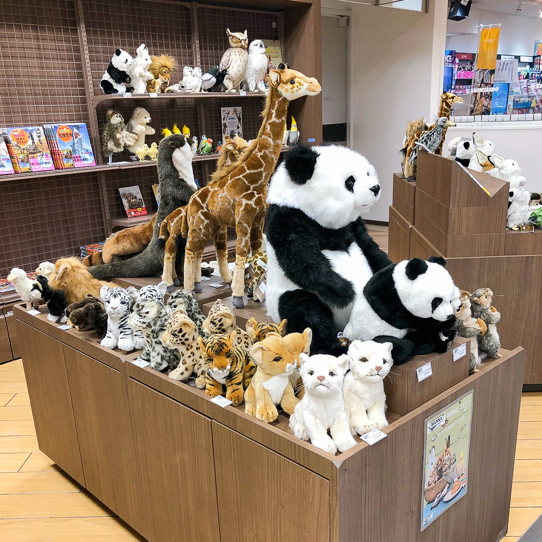 売約済み HANSA シーズー ティディベア2点セット 売約済み HANSA