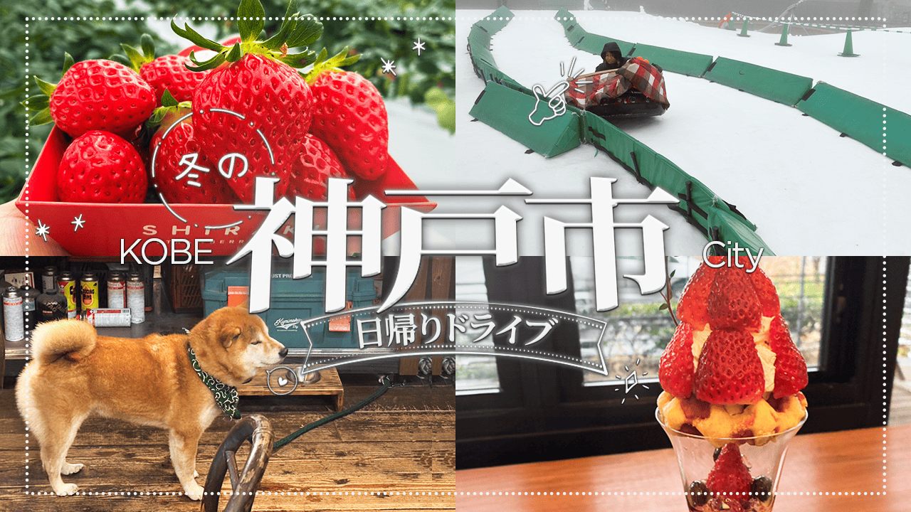 阪神高速ドライブチャンネル「どらちゃん」 | 阪神高速道路 ドライバー