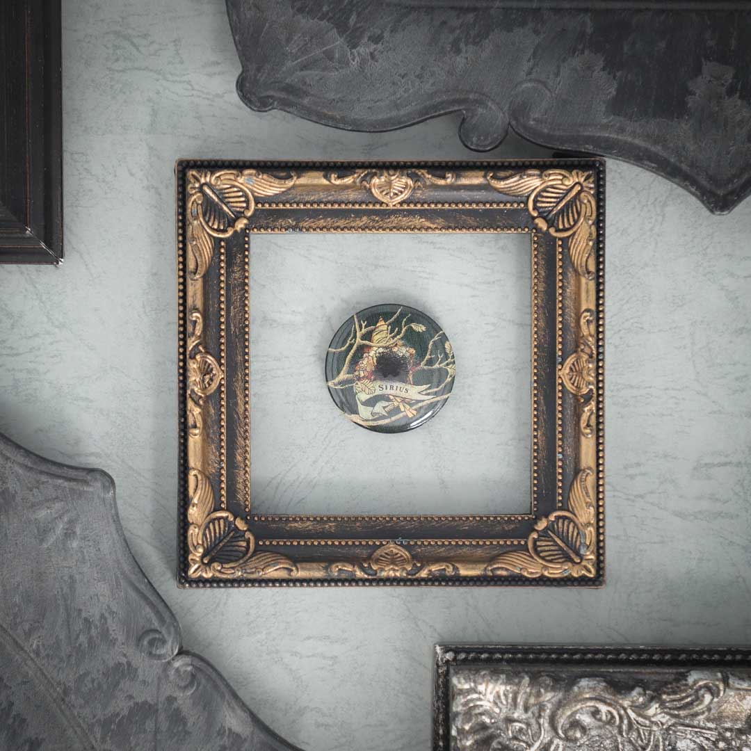 ブラック家の家系図-ドラコ・マルフォイ 缶バッジ | ハリー・ポッター