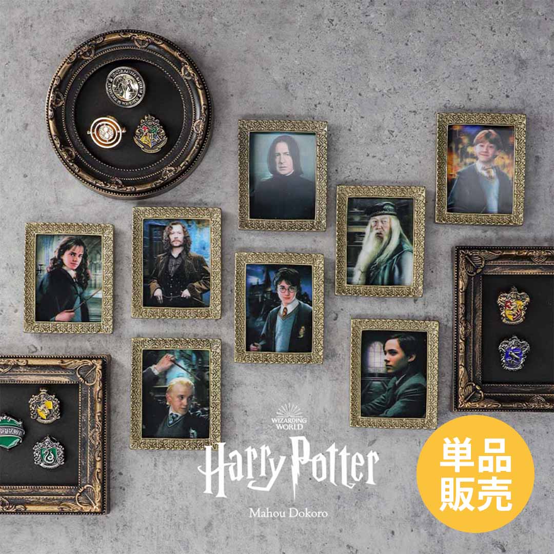 ハリー・ポッター | ハリー・ポッター マホウドコロ