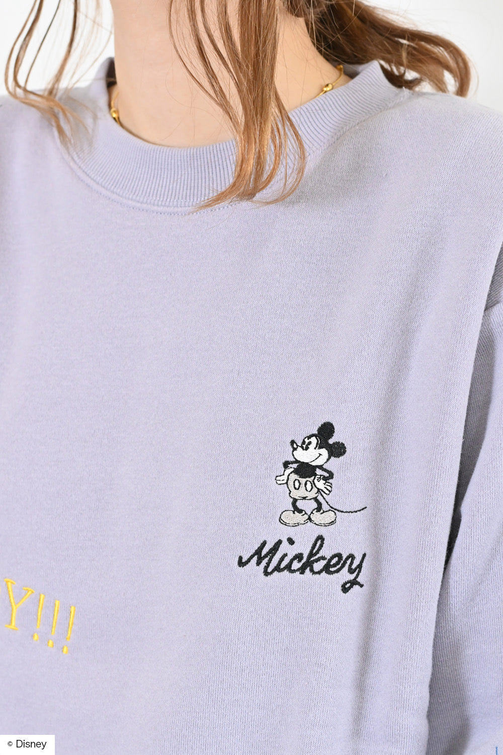 ≪SALE≫ディズニー/裏起毛クルートレーナー② – HEART MARKET