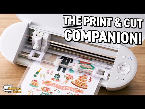 Silhouette Portrait 4 - 8.5