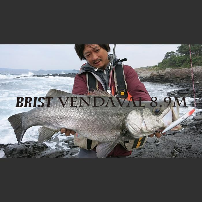 Fishman/フィッシュマン] BRIST VENDAVAL 8.9M (code:FM0085)