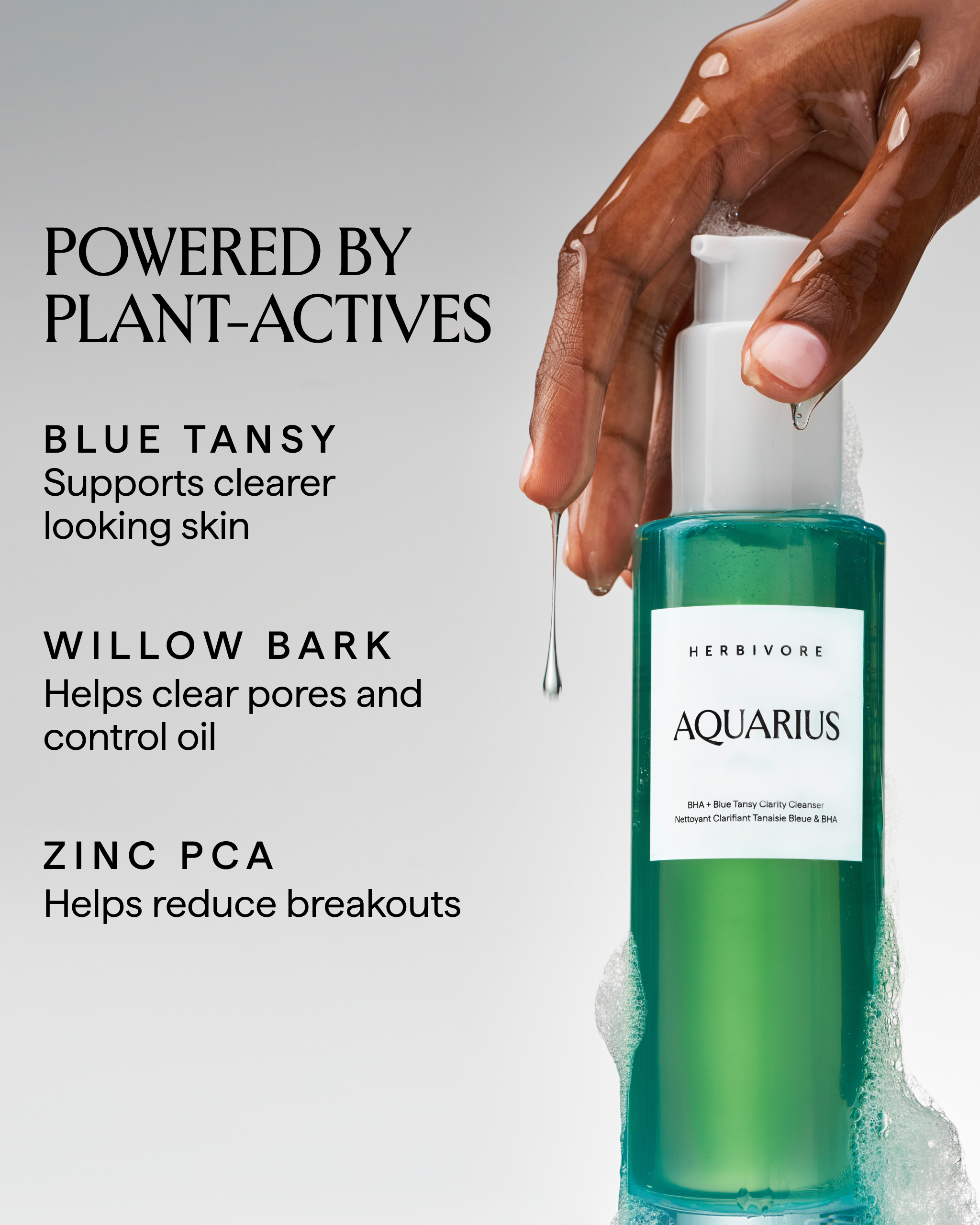 AQUARIUS BHA + Blue Tansy Clarity Facial Cleanser – Herbivore