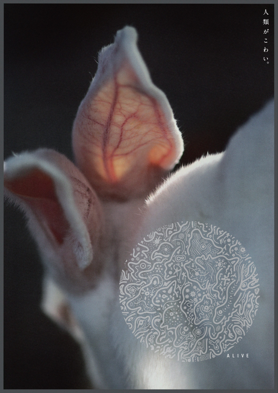 HIROMI INAYOSHI CI DESIGN [稲吉紘実のCIデザイン]