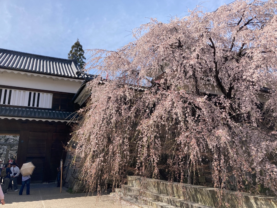 長野県タイプB、山田城、蟻塚城、殿嶋城、市野瀬古城、遠野城イベント