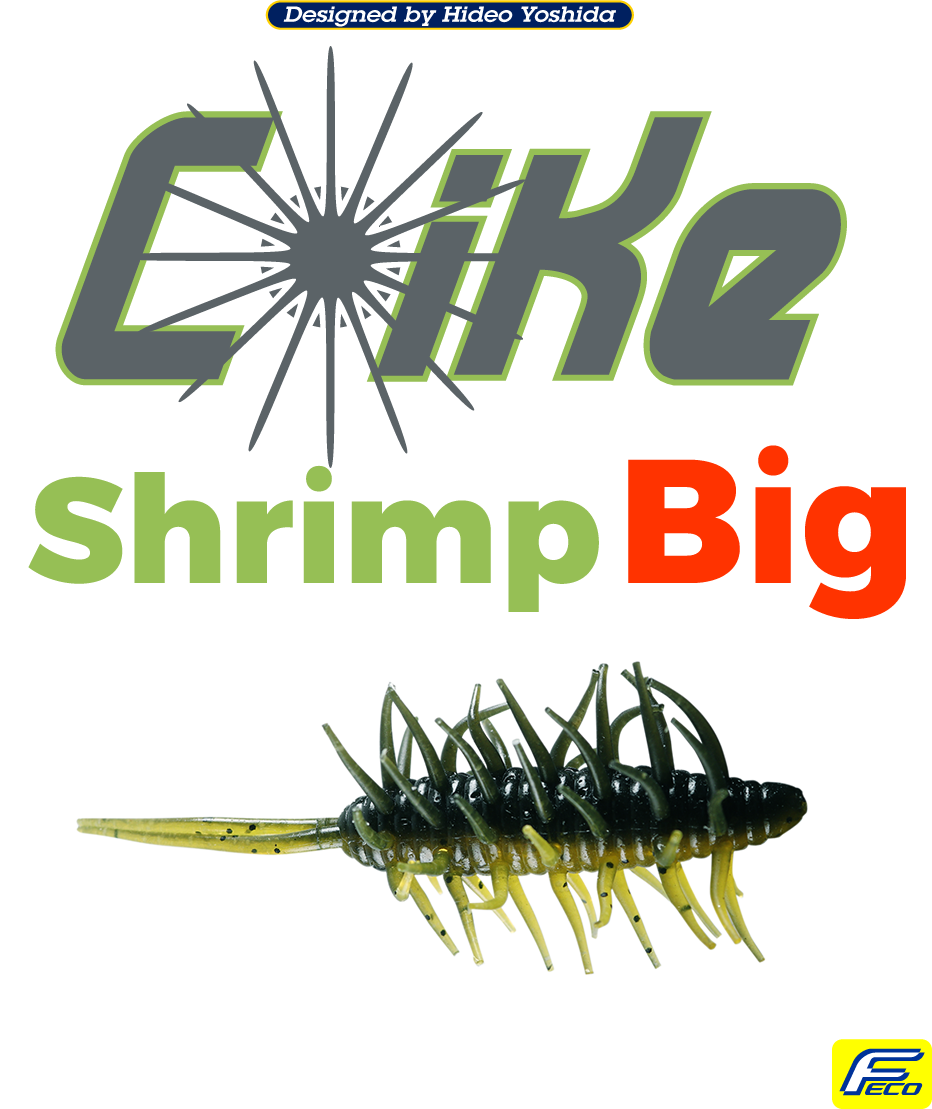 コイケシュリンプビッグ HIDEUP ハイドアップ