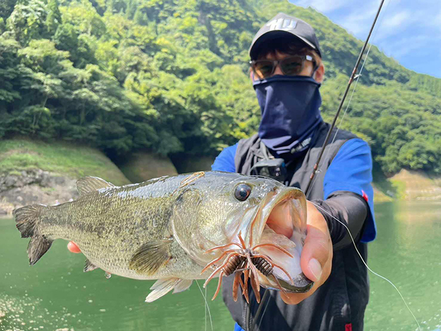 Coike Thunder ソフトルアー 16個セット コイケサンダー HIDEUP ハイド