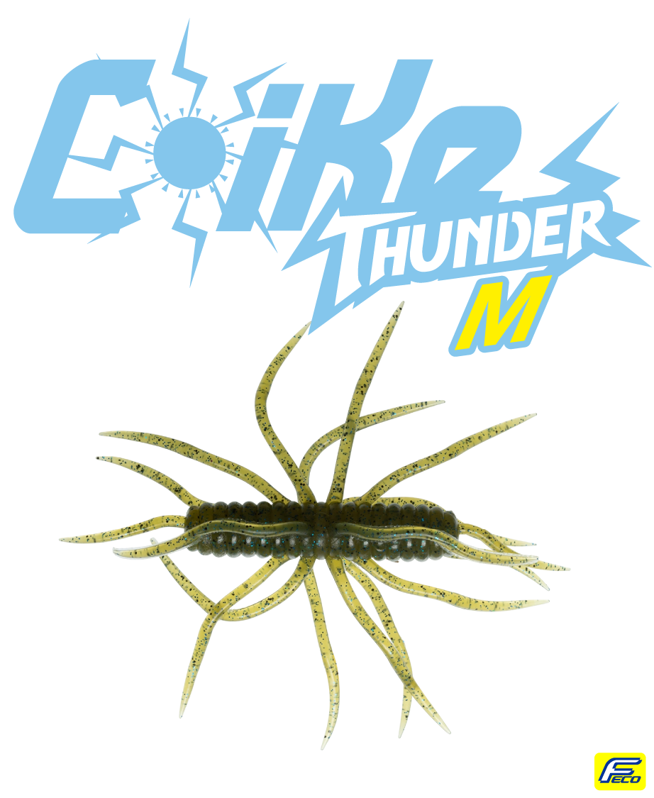 コイケサンダー M HIDEUP ハイドアップ