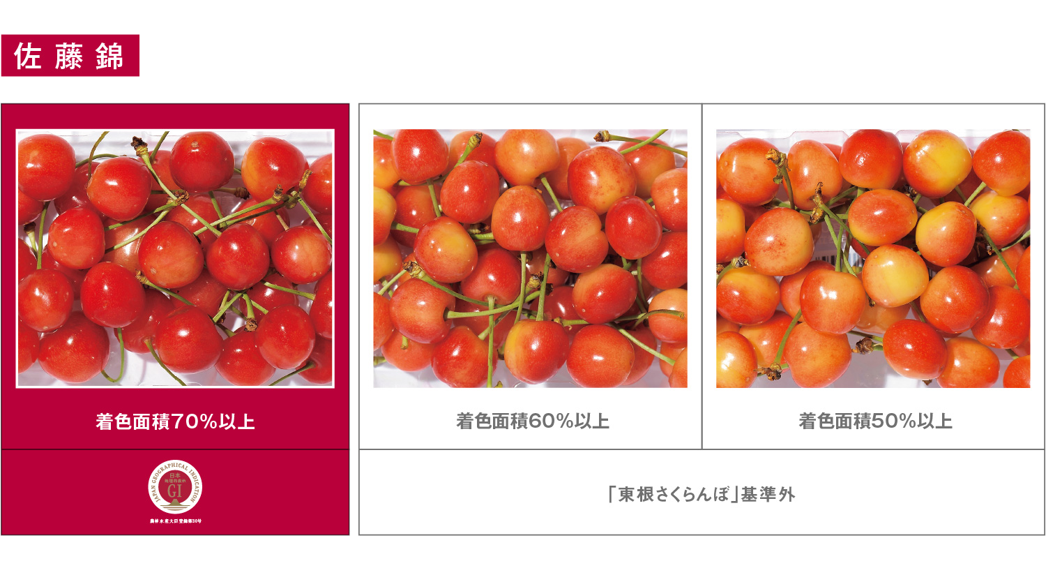 栽培・出荷基準 | 東根さくらんぼ 地理的表示（GI）保護制度