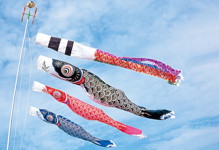 鯉のぼり　金吹雪鯉　5mセット　使用品　こいのぼり 1組限り 金吹雪 5m 6点セット こいのぼり 五月 節句 - メルカリ