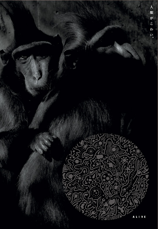 Interview | Hiromi Inayoshi Official [稲吉紘実 公式]