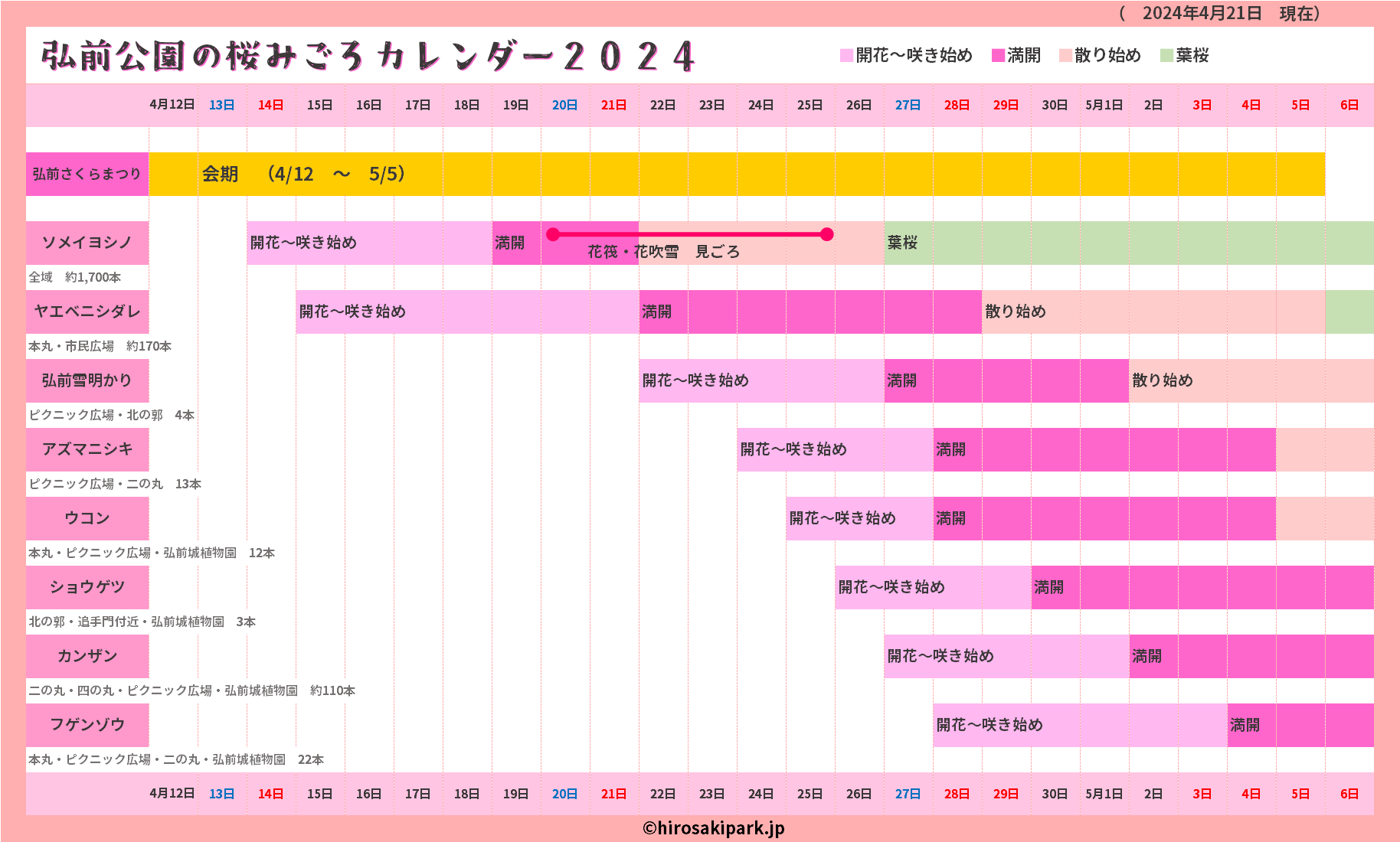 弘前公園の桜みごろカレンダー2024（2024年4月21日更新） - 弘前さくら