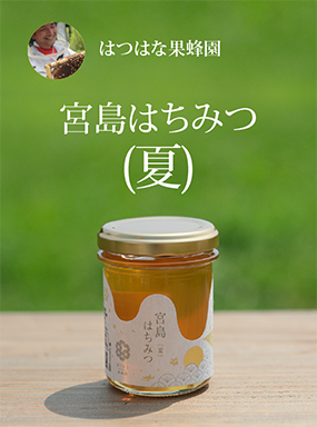 はつはな果蜂園の宮島はちみつ (初夏)|チア！ひろしま 広島県産応援