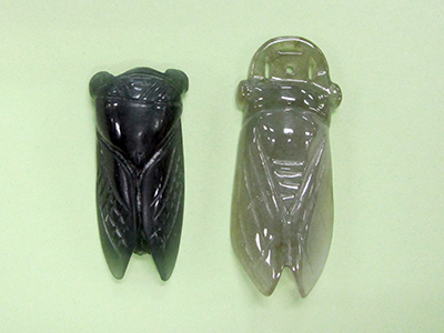 玉蝉のかがやき【有馬卓也】 | 広島大学