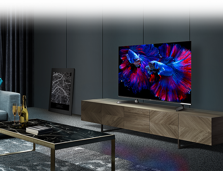 48X8F | ハイセンスジャパン株式会社