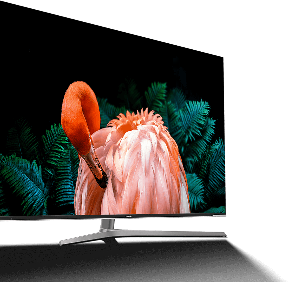 55U7E | ハイセンスジャパン株式会社